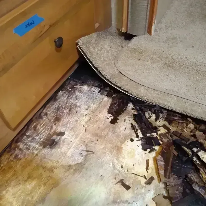 Best Wood Floor Water Damage Service in Donna, TX